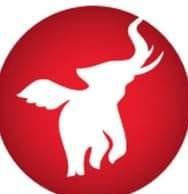 The Flying Elephant (Pvt) Ltd logo