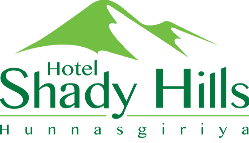 Shady Hills Hotel - Hunnasgiriya logo