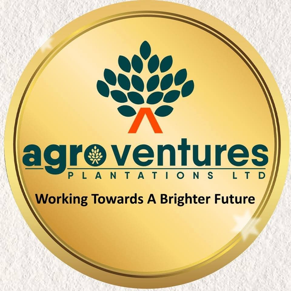 Agro Ventures Plantations Limited logo