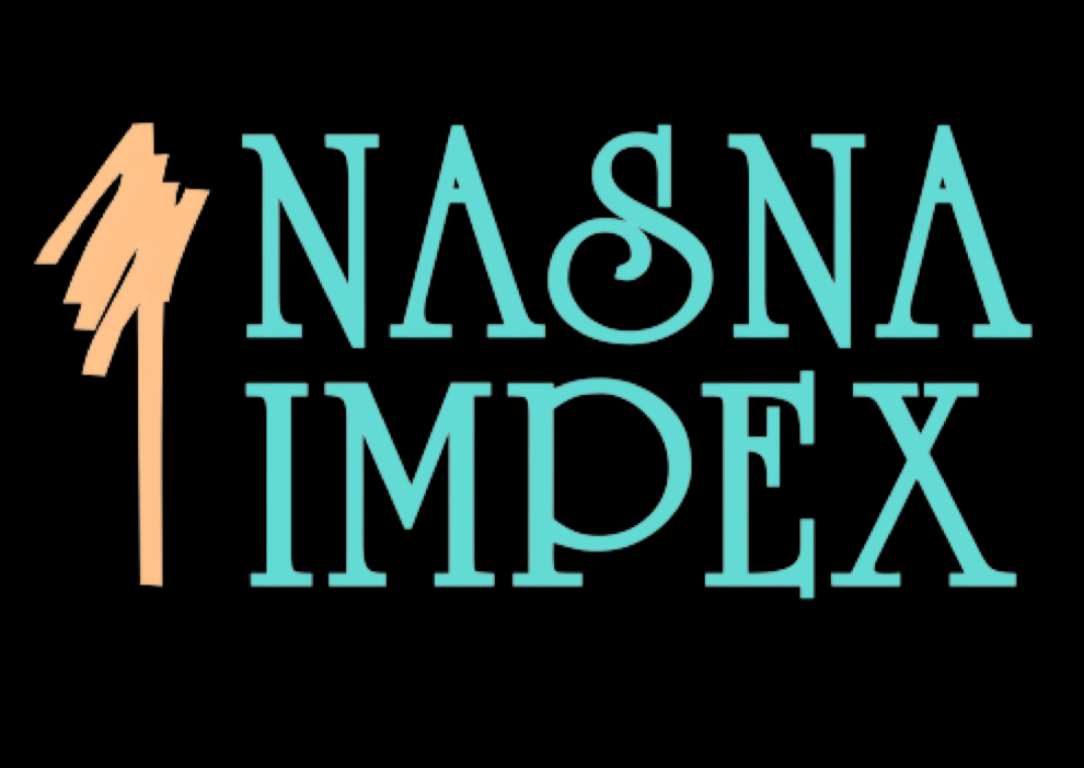 Nasna Impex logo