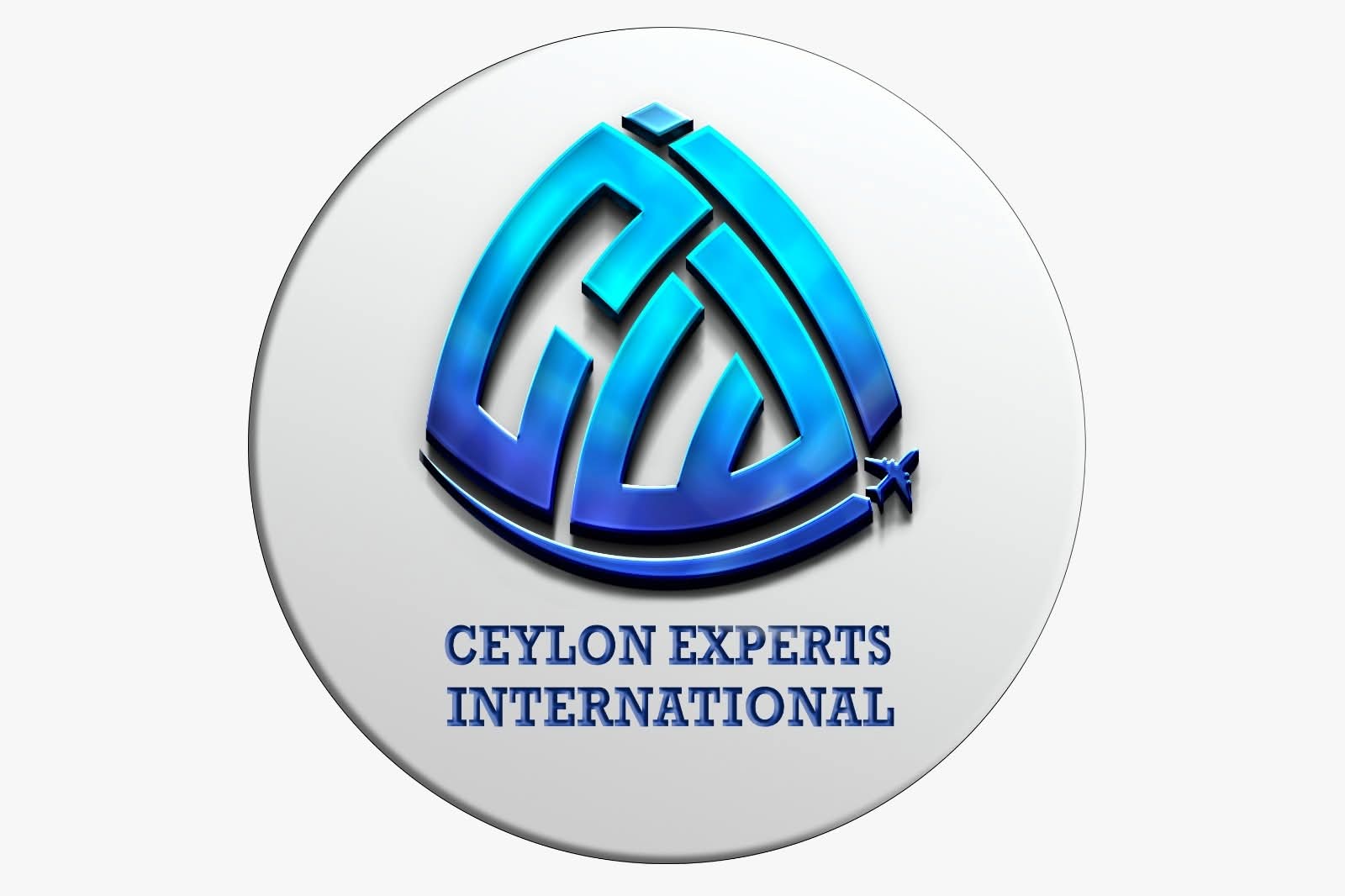 Ceylon Experts International (Pvt)Ltd logo