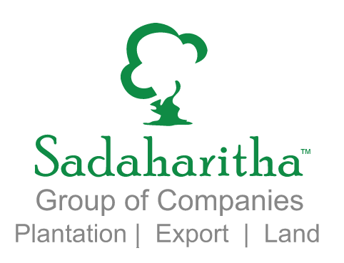 Sadaharitha Plantations Ltd logo
