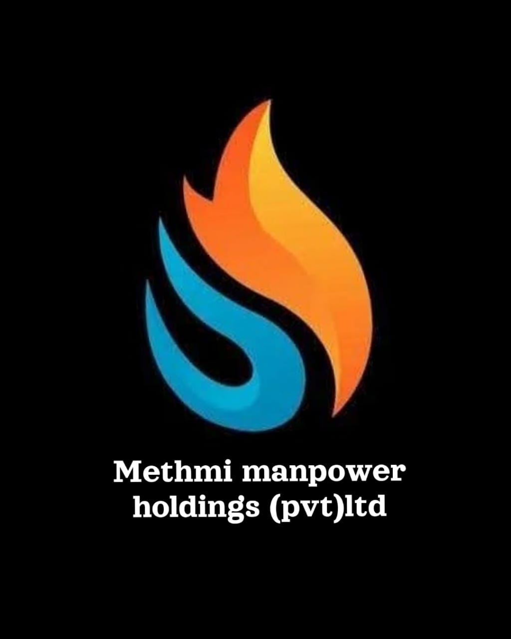 Methmi Manpower Holdings (Pvt) Ltd logo