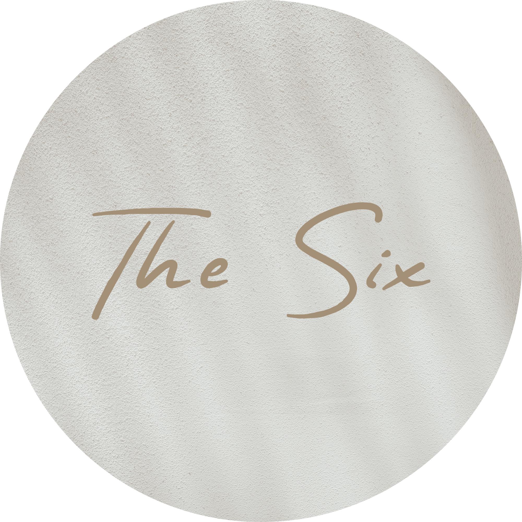 The Six logo